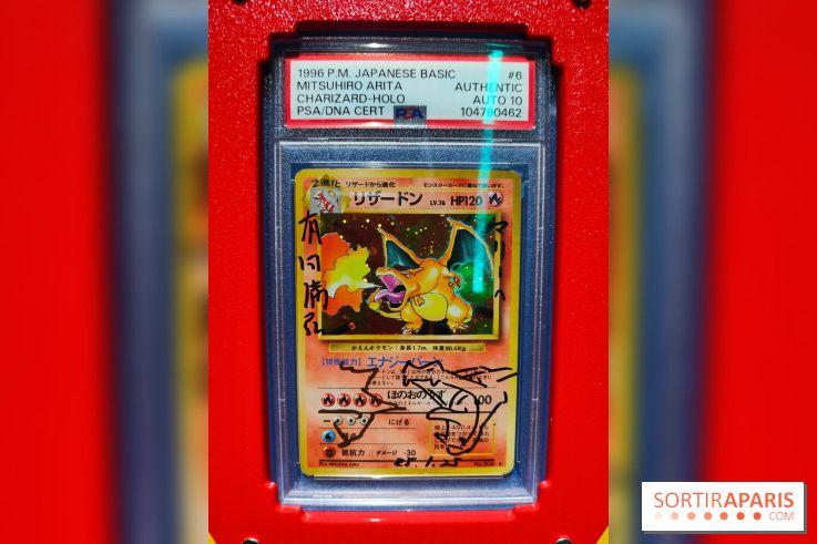 Admirez-les tous, Pokémon à l'honneur dans une exposition ludique et régressive au musée en Herbe