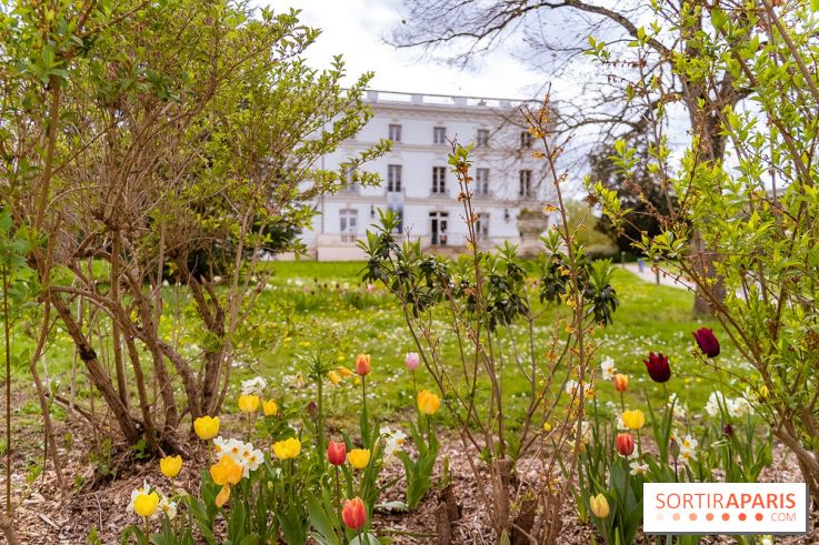 Le Château de Buc et son superbe domaine, parc paysagé aux nombreux trésors - A7C03140