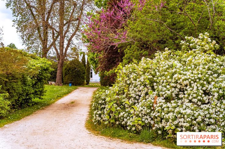 Le Château de Buc et son superbe domaine, parc paysagé aux nombreux trésors - A7C03153