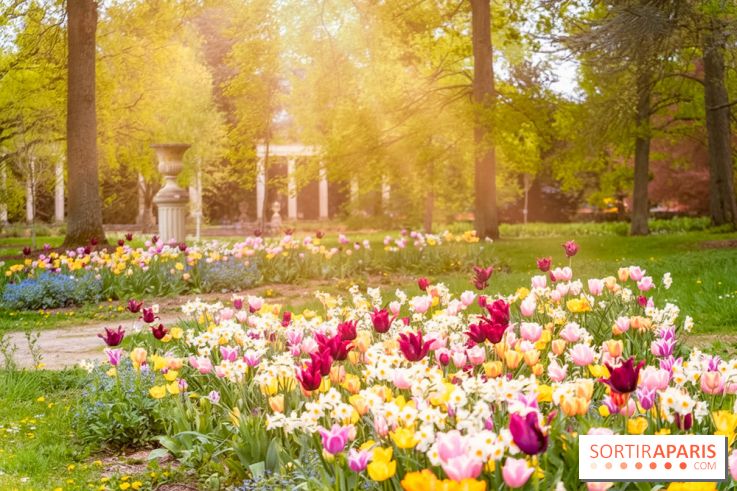 Le Château de Buc et son superbe domaine, parc paysagé aux nombreux trésors - A7C03157 Edit