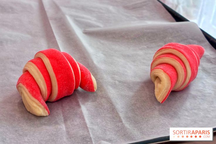 Atelier croissant bicolore