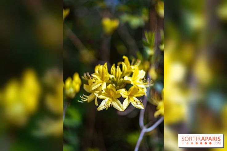 Parc et Jardins du Château de Fontainebleau - les photos  - A7C04482