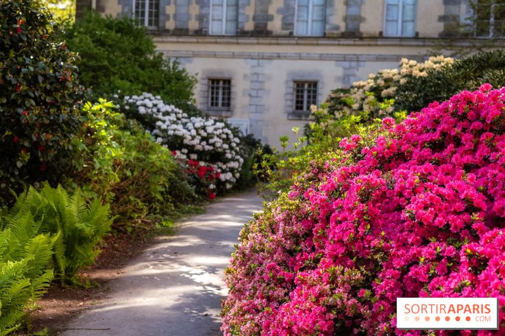 Parc et Jardins du Château de Fontainebleau - les photos