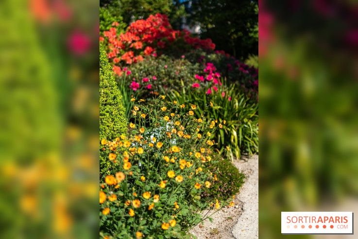 Parc et Jardins du Château de Fontainebleau - les photos  - A7C04798