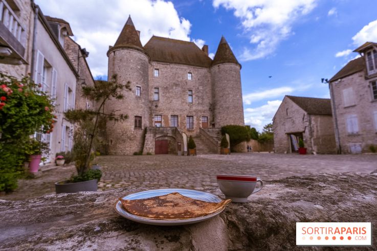 Château Musées de Nemours en Seine-et-Marne - photos - A7C04869