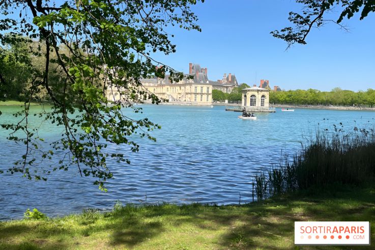 Les barque de l'Etang aux Carpes, à Fontainebleau - nos photos