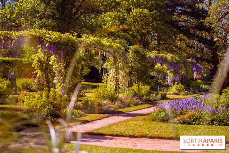Le Parc des Ibis au Vésinet dans les Yvelines en Région Parisienne - photos  - A7200695
