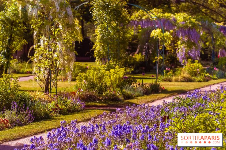 Le Parc des Ibis au Vésinet dans les Yvelines en Région Parisienne - photos  - A7200696