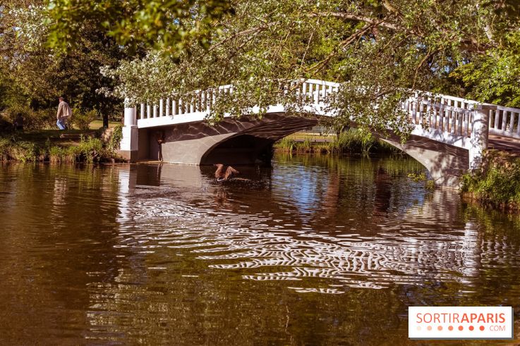 Le Parc des Ibis au Vésinet dans les Yvelines en Région Parisienne - photos  - A7200605