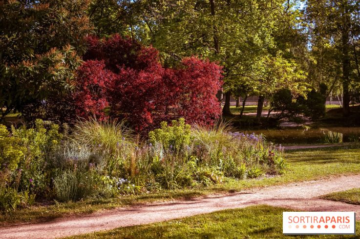 Le Parc des Ibis au Vésinet dans les Yvelines en Région Parisienne - photos  - A7200566