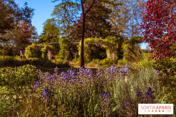 Le Parc des Ibis au Vésinet dans les Yvelines en Région Parisienne - photos  - A7200591