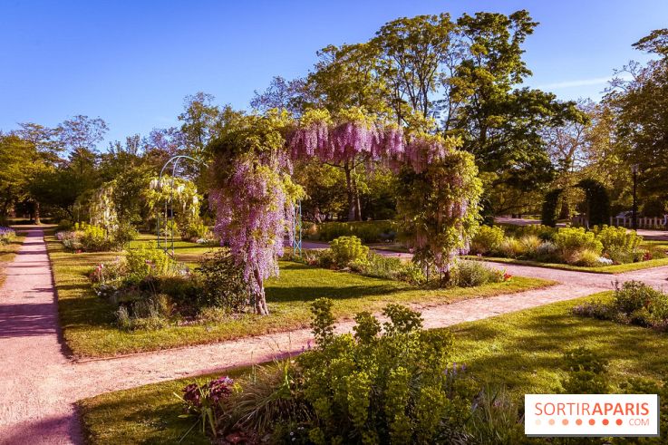 Le Parc des Ibis au Vésinet dans les Yvelines en Région Parisienne - photos  - A7200441