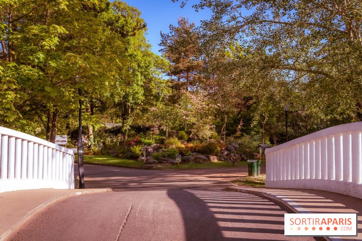 Le Parc des Ibis au Vésinet dans les Yvelines en Région Parisienne - photos  - A7200423