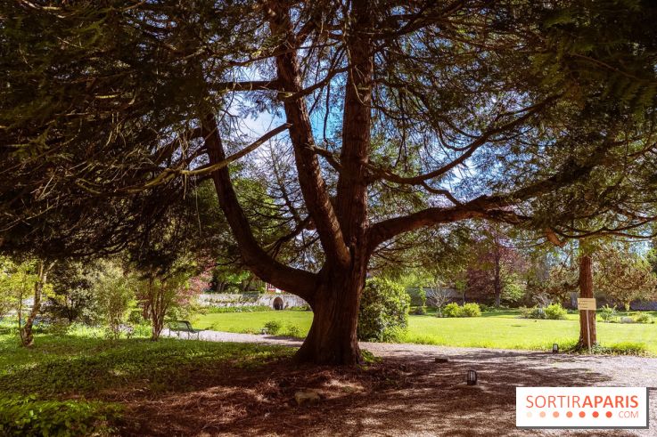 Le couvent des Carmes en Seine-et-Marne, son parc et son musée gratuit