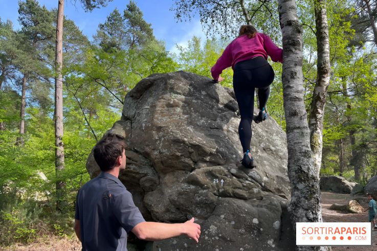 Escalade en Forêt de Fontainebleau - nos photos