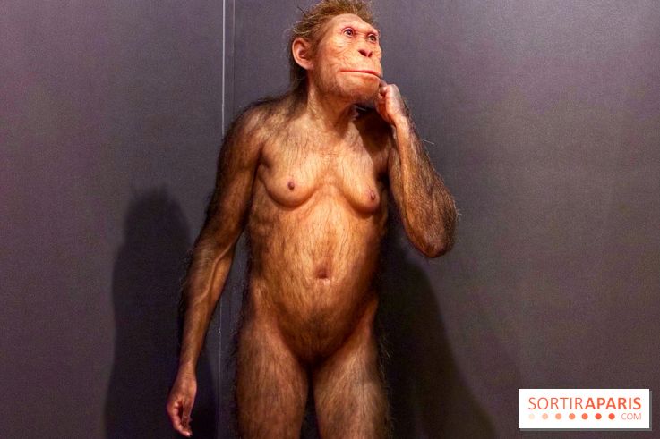 Préhistoire, entre utopie et réalité  - IMG 5555