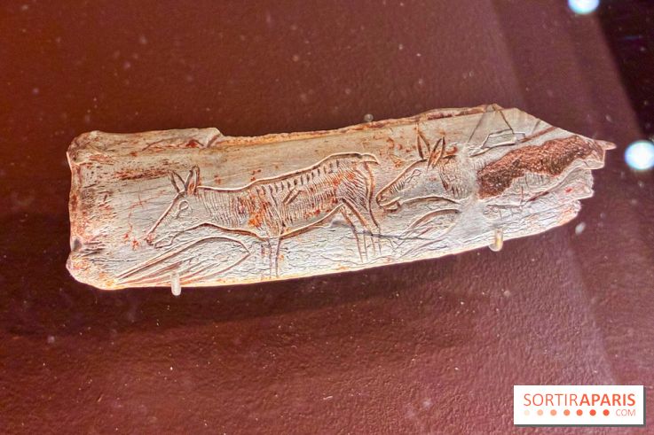 Préhistoire, entre utopie et réalité  - IMG 5569