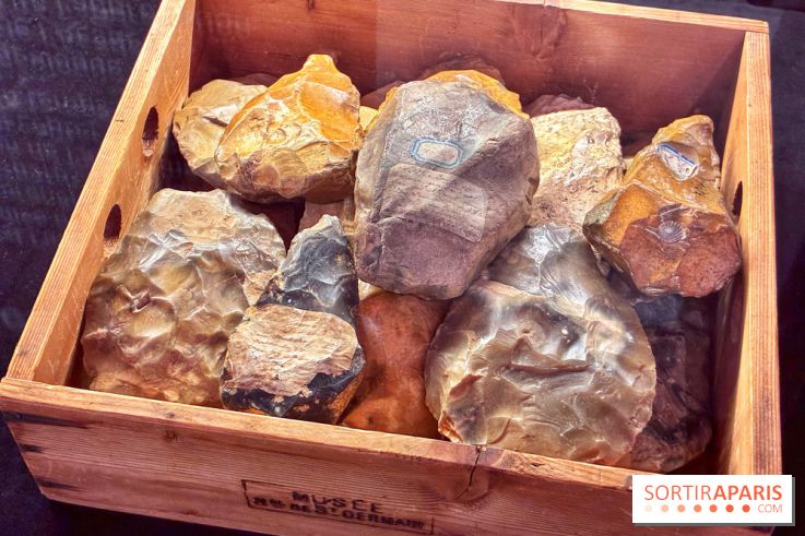 Préhistoire, entre utopie et réalité  - IMG 5589