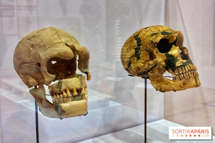 Préhistoire, entre utopie et réalité  - IMG 5601