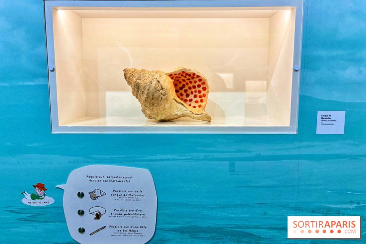 Préhistoire, entre utopie et réalité  - IMG 5624