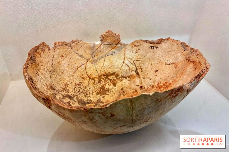 Préhistoire, entre utopie et réalité  - IMG 5627