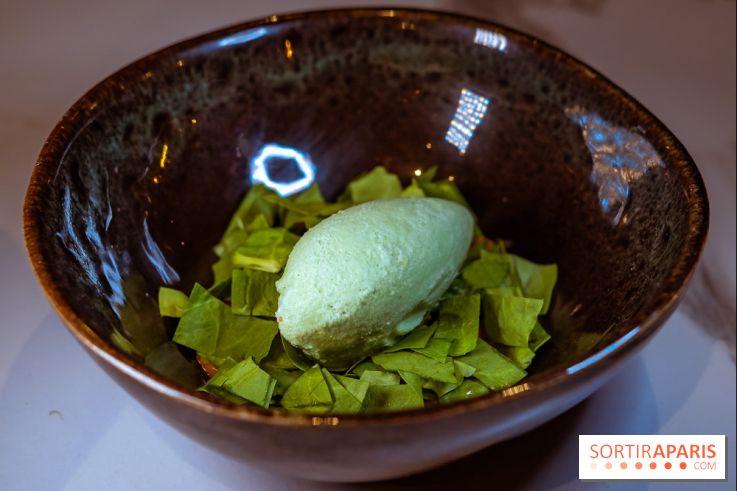 L'Orée des Sablons, restaurant à Fontainebleau - photos - dessert oseille cacahuète