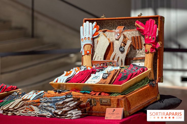 Tour Auto 2026 : plus de 230 voitures de collection s'exposent sous la verrière du Grand Palais