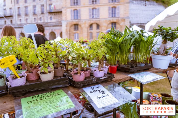 Eden, la Fête des Plantes du Château de la Roche Guyon - photos