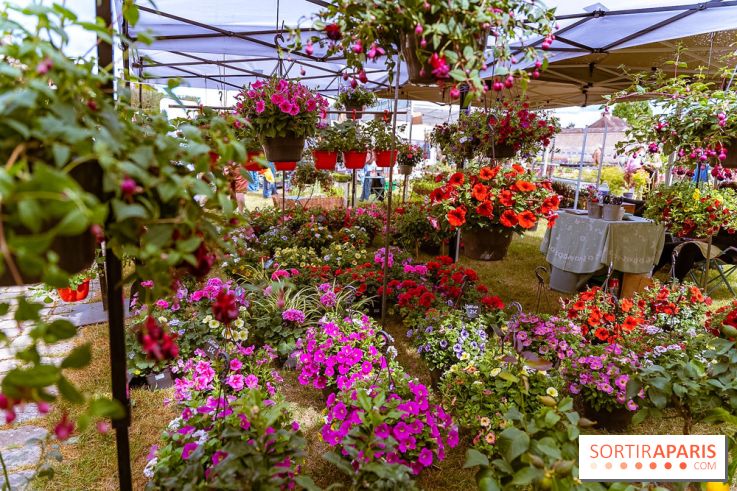 Eden, la Fête des Plantes du Château de la Roche Guyon - photos