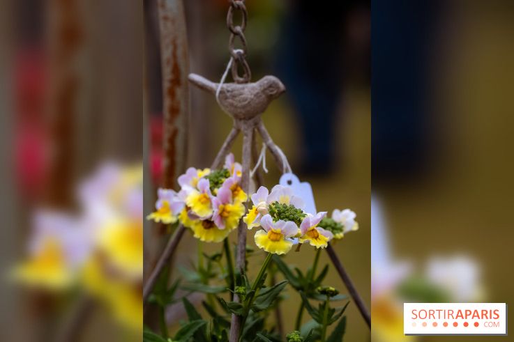Eden, la Fête des Plantes du Château de la Roche Guyon - photos