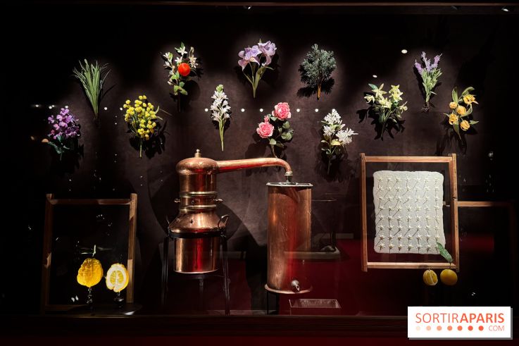 Théâtre du Parfum (Musée du Parfum)