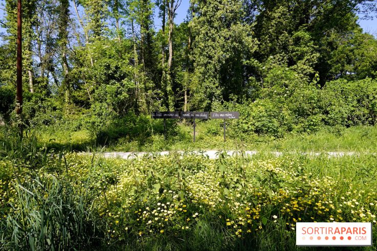La Coulée verte de Deuil-la-Barre dans le Val-d'Oise - nos photos