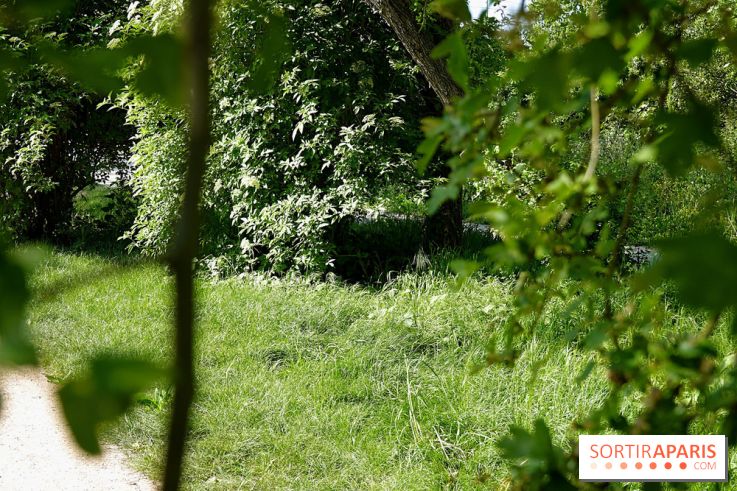 La Coulée verte de Deuil-la-Barre dans le Val-d'Oise - nos photos