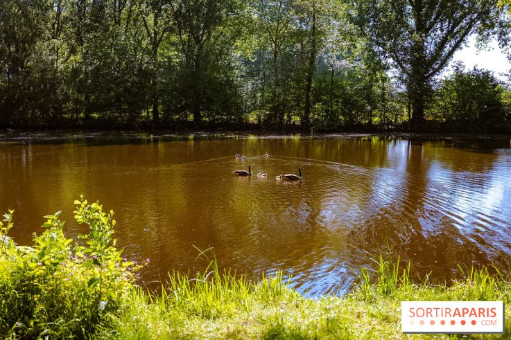 La réserve Naturelle des Etangs de Bonnelles, son pont kiosque, temple de l'amour et ses trésors