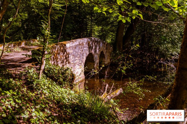 La réserve Naturelle des Etangs de Bonnelles, son pont kiosque, temple de l'amour et ses trésors