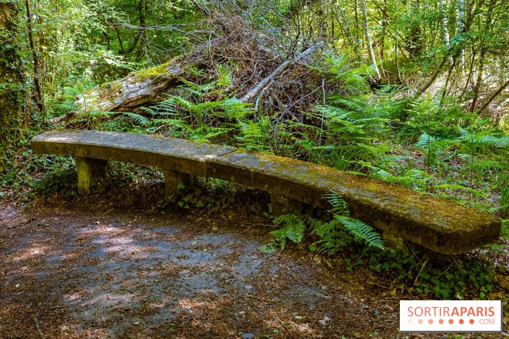 La réserve Naturelle des Etangs de Bonnelles, son pont kiosque, temple de l'amour et ses trésors