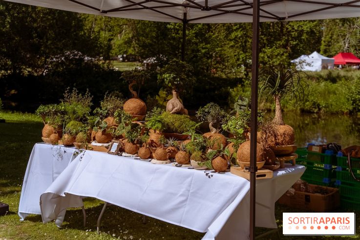 Fête des Plantes au Château de Dampierre dans les Yvelines - photos