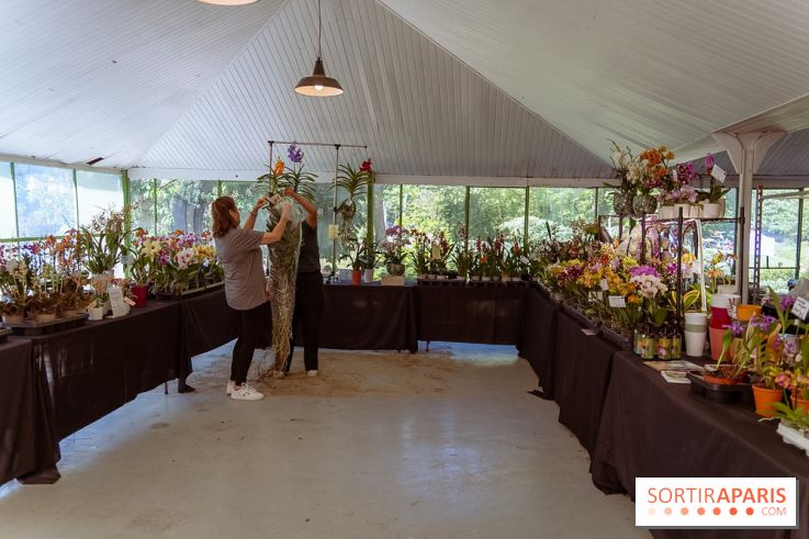 Fête des Plantes au Château de Dampierre dans les Yvelines - photos