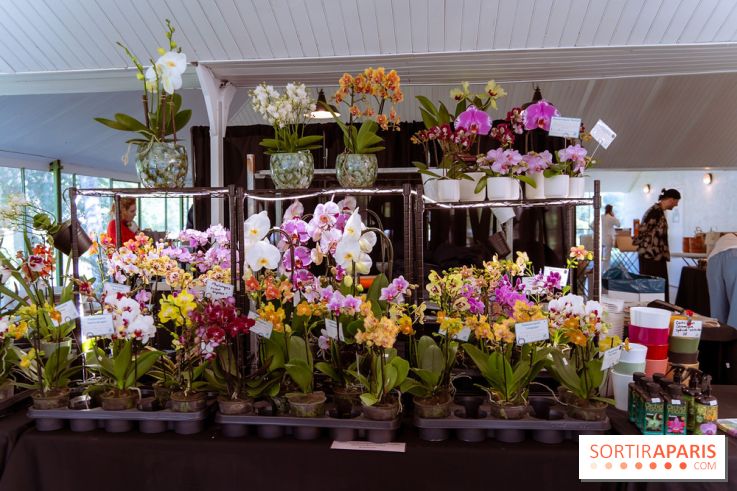 Fête des Plantes au Château de Dampierre dans les Yvelines - photos