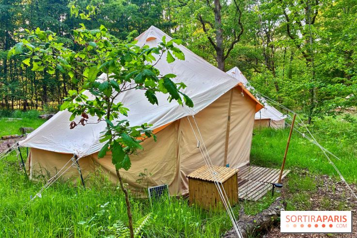Bivouac avec les loups
