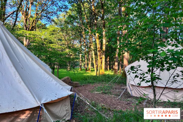 Bivouac avec les loups