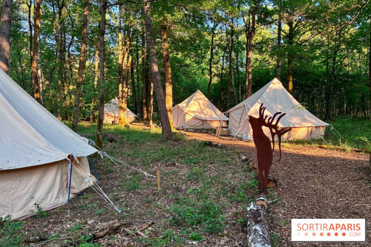 Bivouac avec les loups