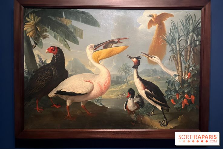 Plumes de Paradis, l'expo au musée du Quai Branly - nos photos