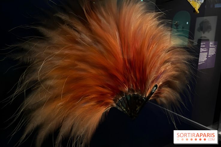 Plumes de Paradis, l'expo au musée du Quai Branly - nos photos