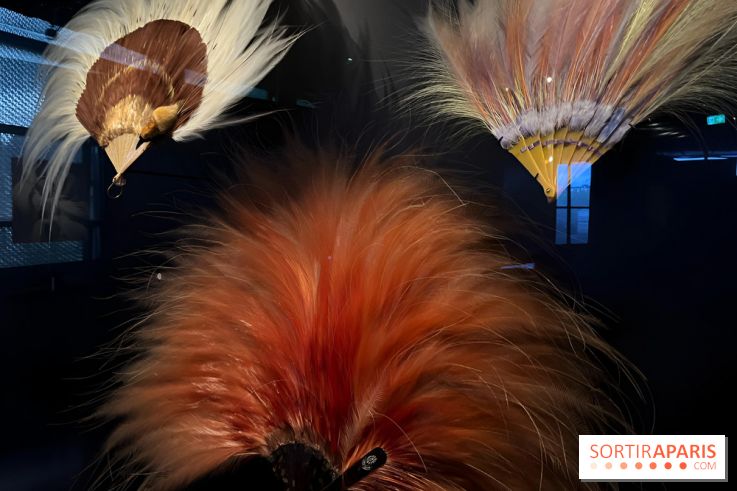 Plumes de Paradis, l'expo au musée du Quai Branly - nos photos