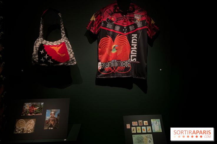 Plumes de Paradis, l'expo au musée du Quai Branly - nos photos