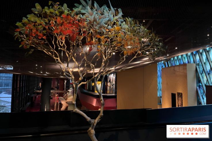 Plumes de Paradis, l'expo au musée du Quai Branly - nos photos