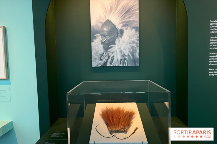 Plumes de Paradis, l'expo au musée du Quai Branly - nos photos