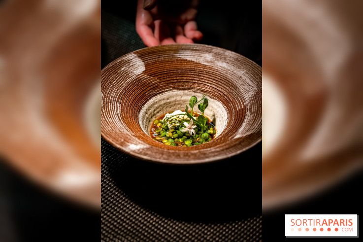 Double Impact, restaurant gastronomique Paris 9e, photos
