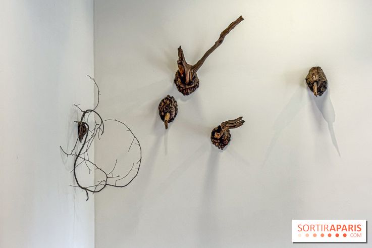Lélia Demoisy au Domaine de Chamarande : une exposition autour des récits de forêts